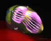 helmettop.jpg (316821 bytes)